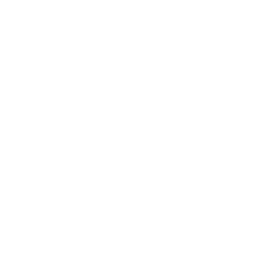 Madi-Link-logo-03-(1)